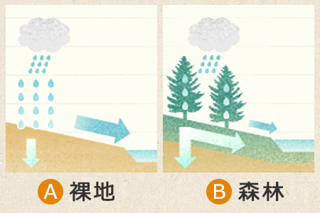 森の保水力