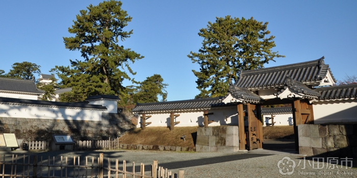 小田原城址公園