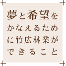 夢と希望をかなえるために竹広林業ができること